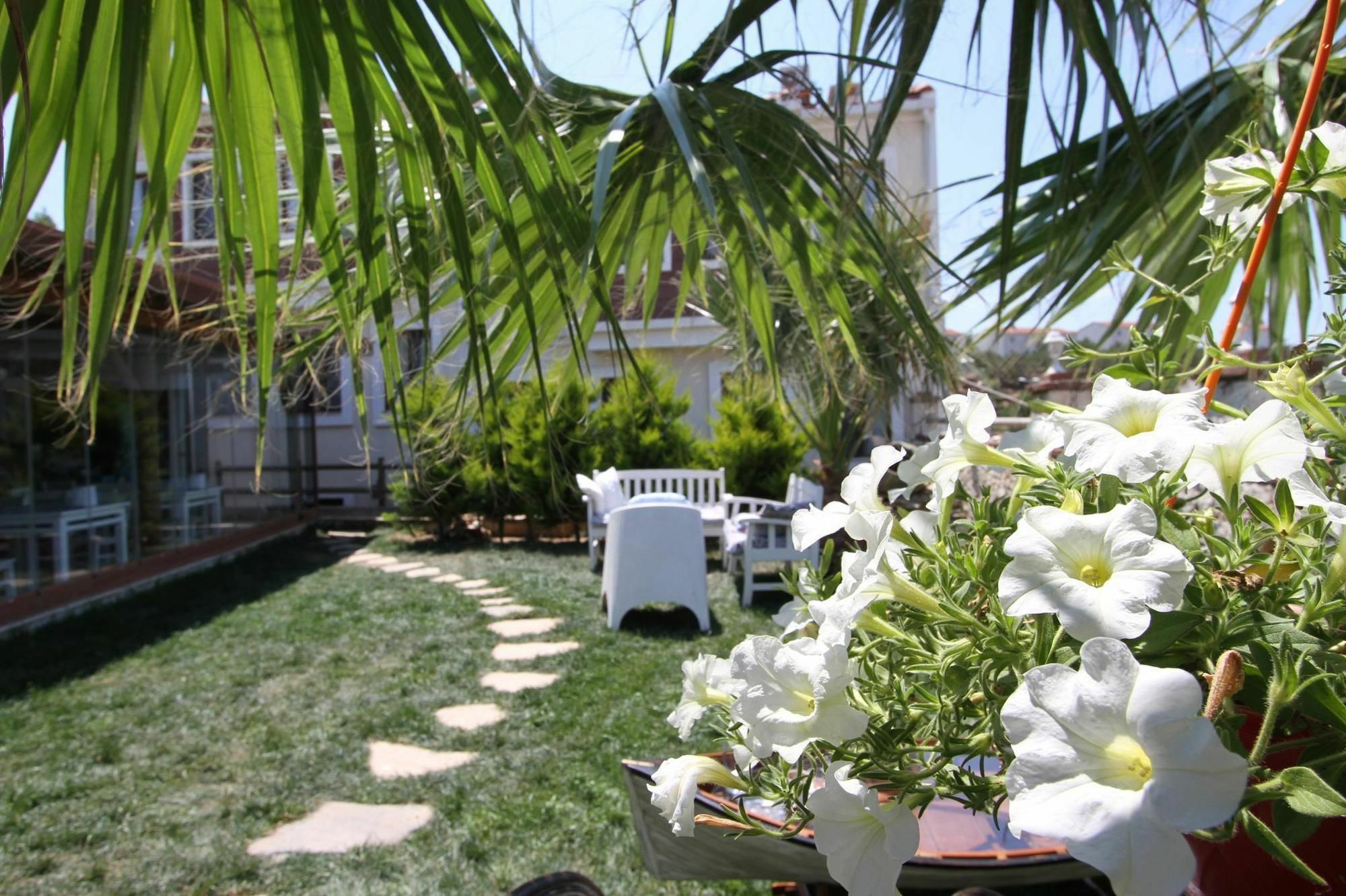Destina Hotel Bozcaada Ngoại thất bức ảnh